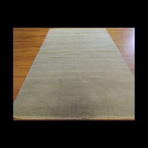 Wonderful Modern design Savannah Oriental Area Rug 6 x 9