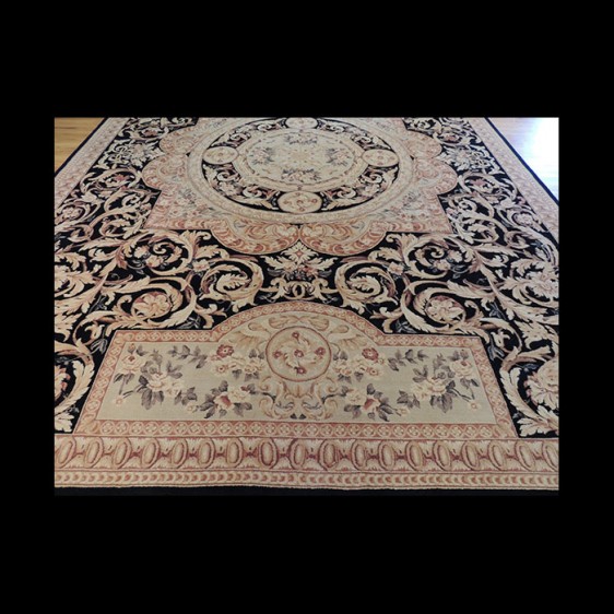 Striking French Aubusson Design Oriental Area Rug 9 x 12