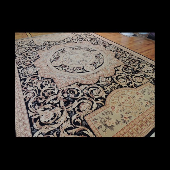 Striking French Aubusson Design Oriental Area Rug 9 x 12