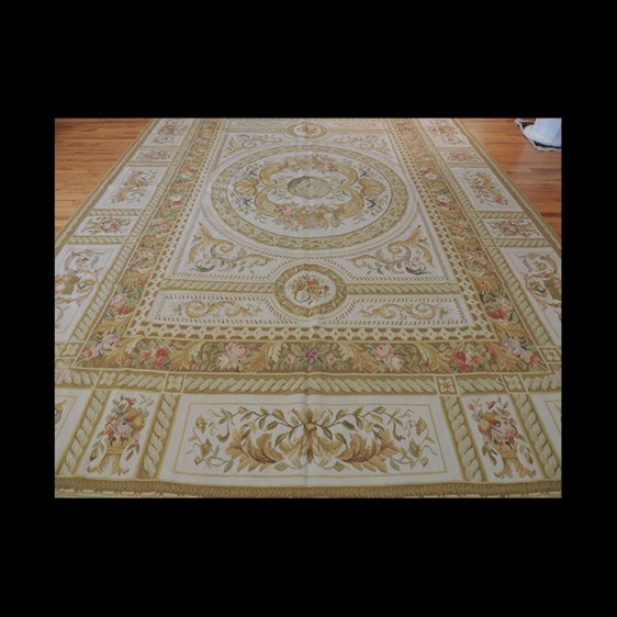 Breathtaking French Aubusson Oriental Area Rug 9 x 12