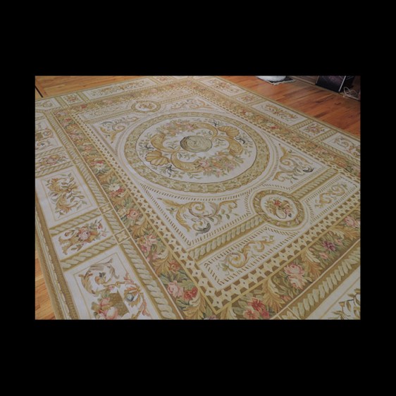 Breathtaking French Aubusson Oriental Area Rug 9 x 12