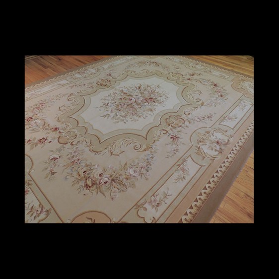 Lovely French Design Aubusson Oriental Area Rug 9 x 12