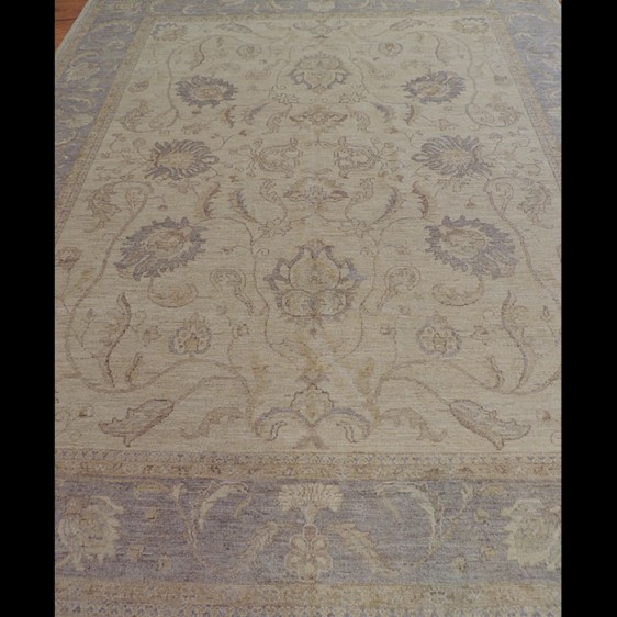 Peshawar 8 x 10 Modern Oriental Area Rug